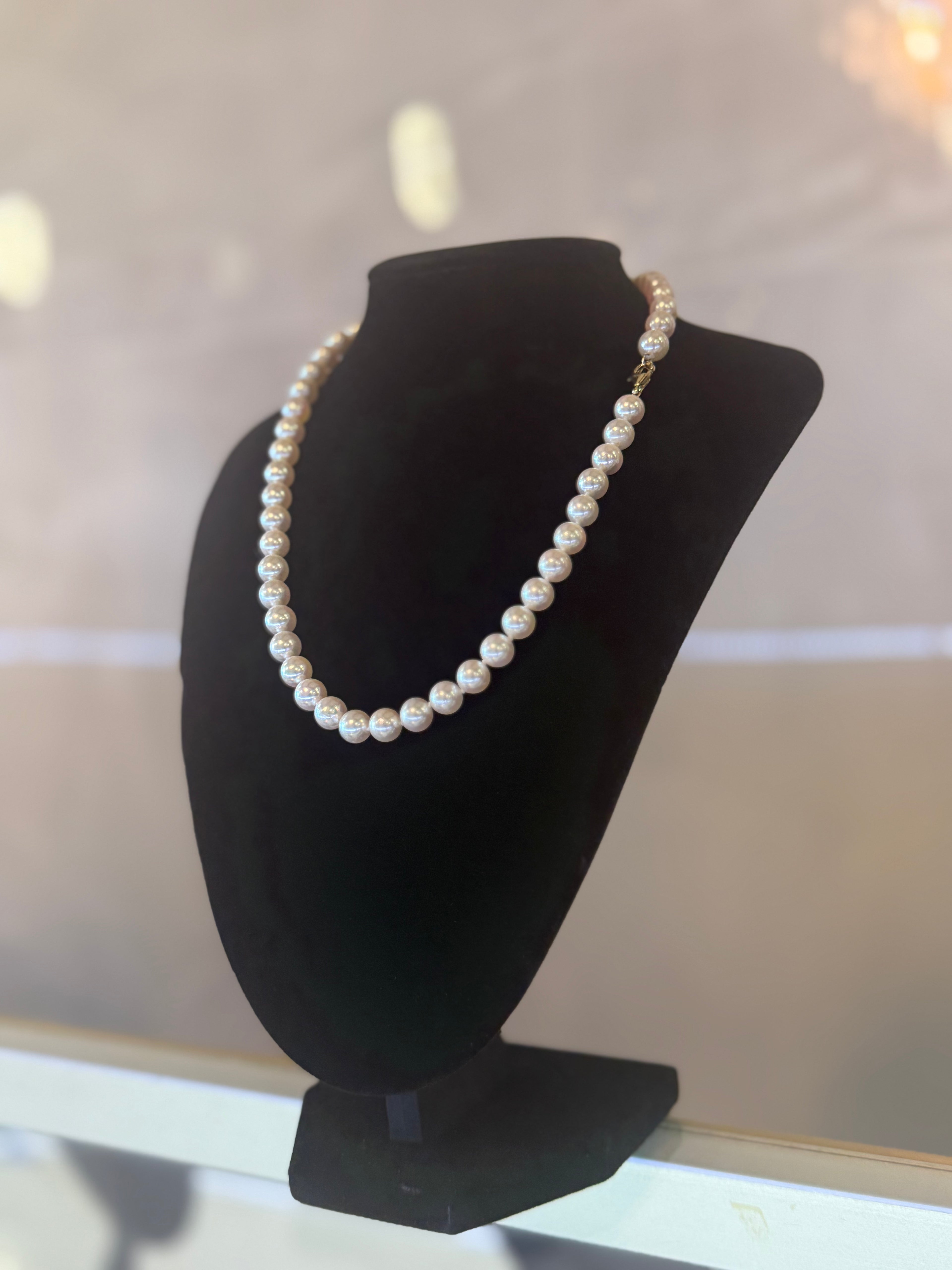 Akoya AA+ grade necklace with 14k clasp, lobster clasp