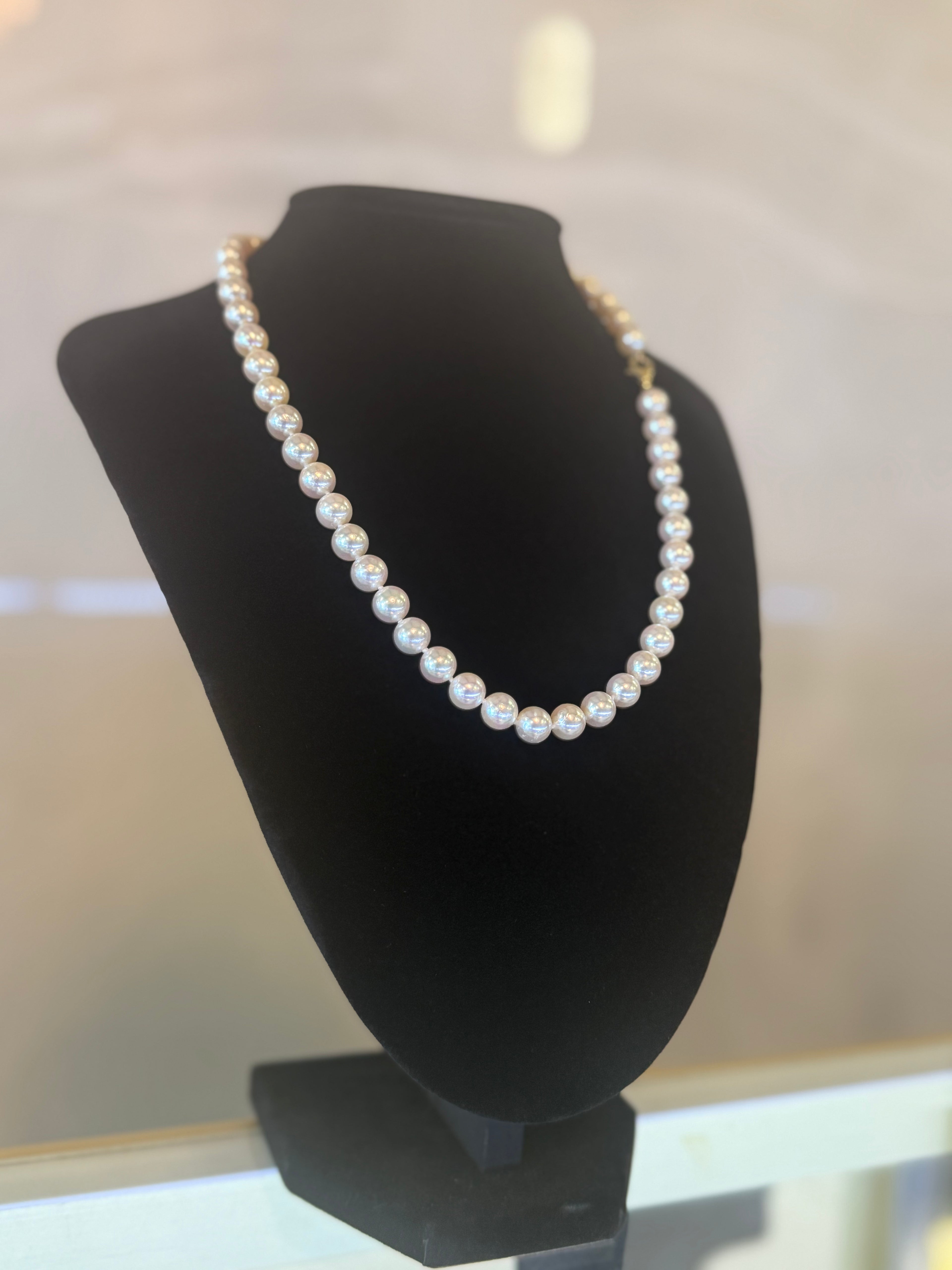 Akoya AA+ grade necklace with 14k clasp, lobster clasp