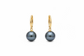 14K Tahiti AAA pearl earrings with hoop