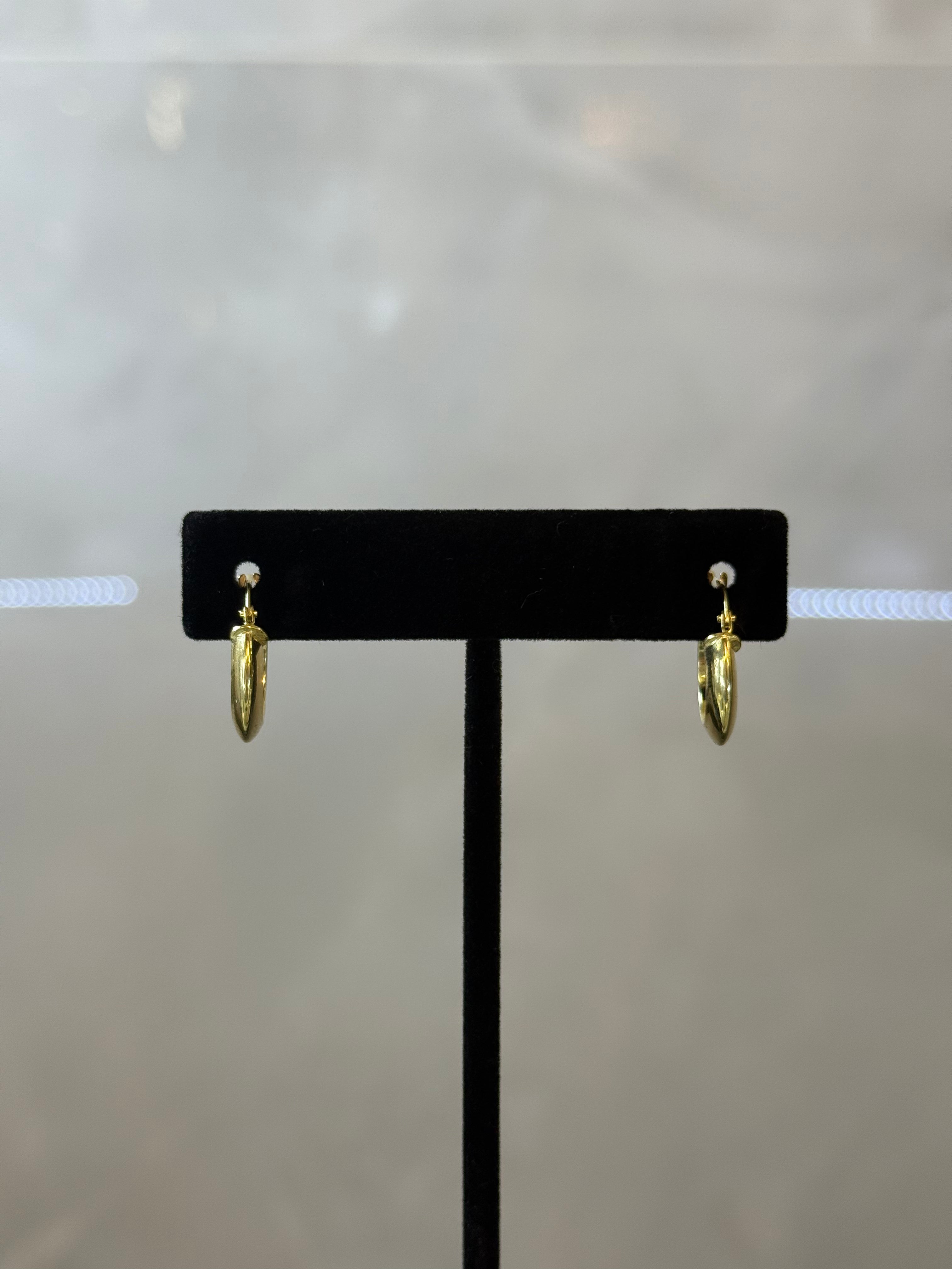 10K Hoop Curved Earrings