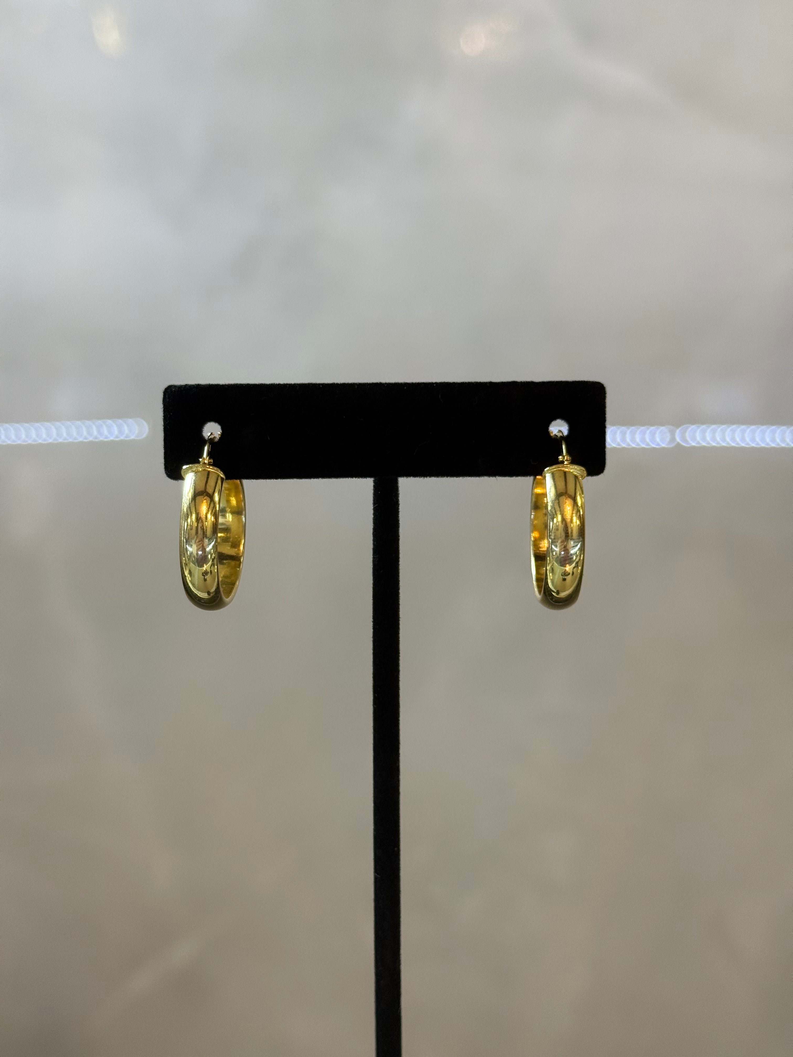 14K Circle Hoop Earrings