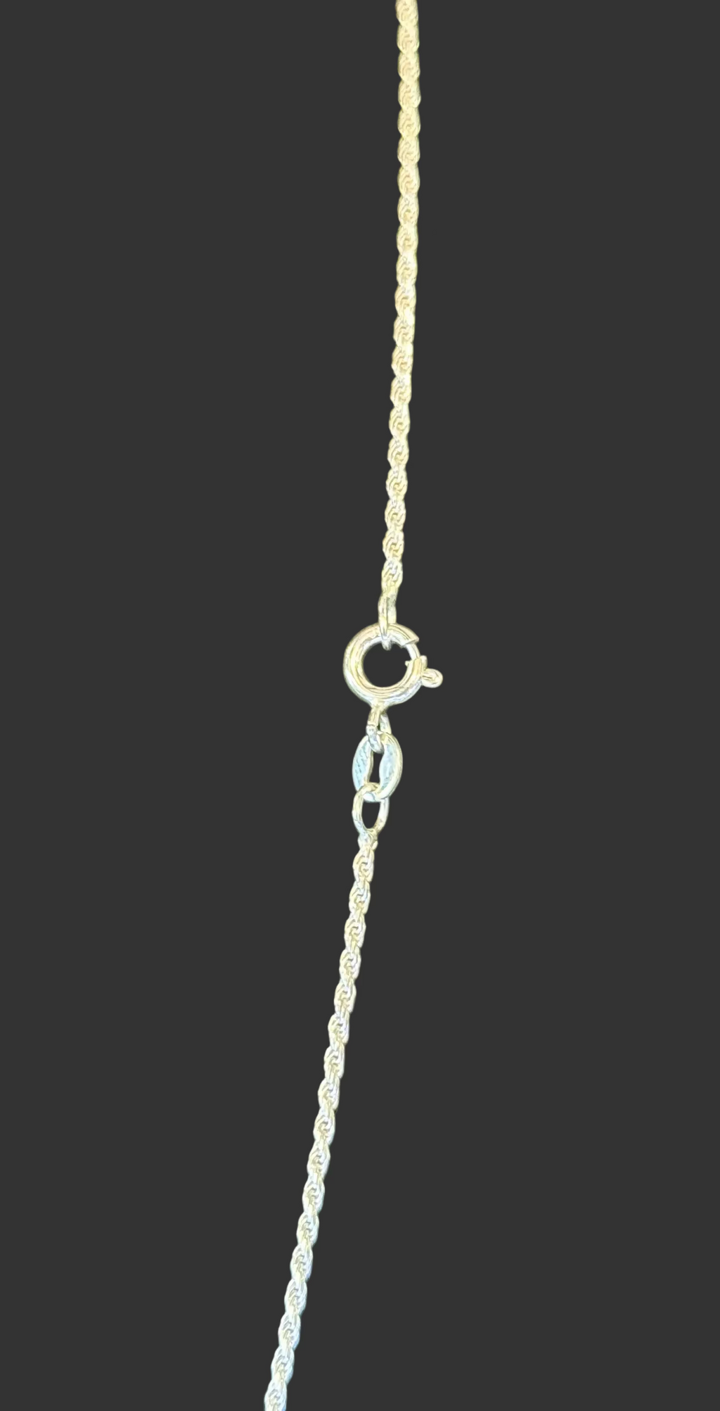 Sterling Silver Rope Chain 5