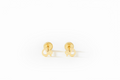 10K Duck Earrings